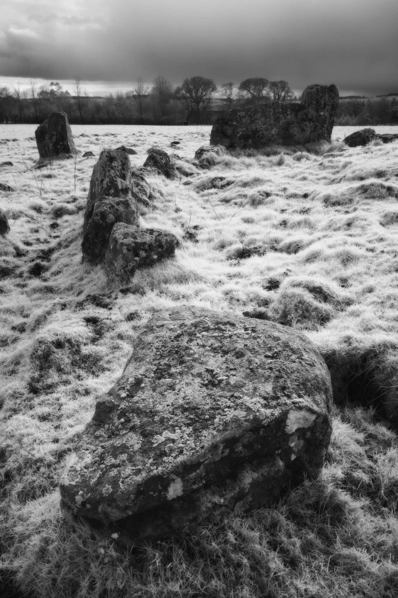 Auchquhorthies Stone Circle, Aberdeenshire, Scotland.